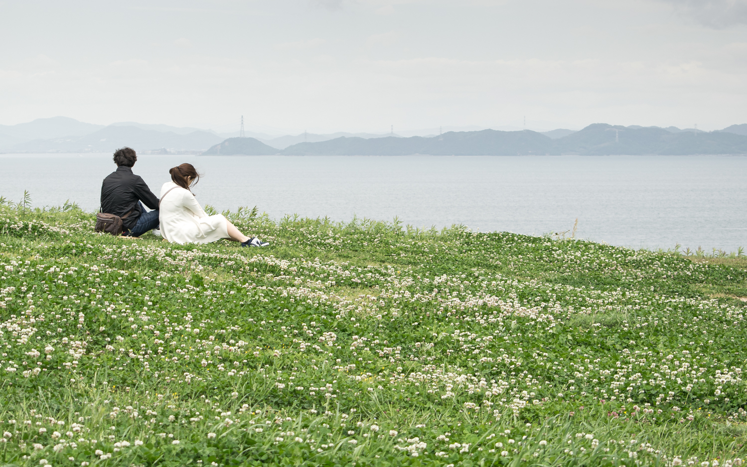 Teshima Art Museum
